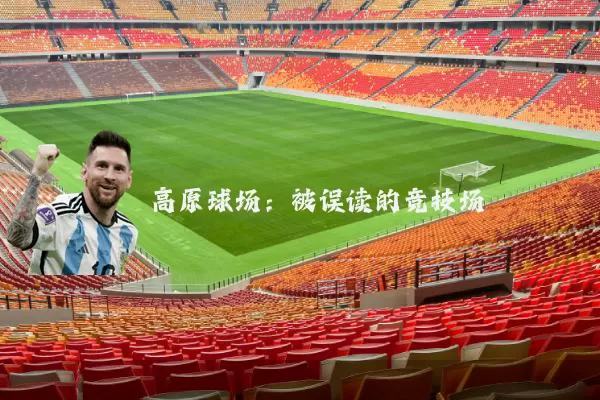 高原球场:被误读的竞技场